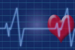 篮球运动员心理健康维护体系构建与应用，篮球运动员的心理素质训练应把重点放在