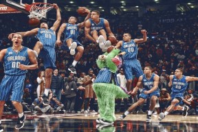 决赛焦点：普里戈达蛙泳起跳精准